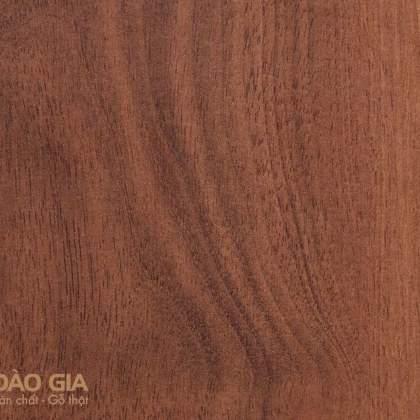 Sàn gỗ Rainforest IRAS510