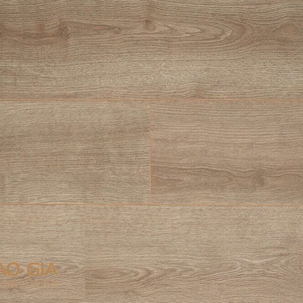 Sàn gỗ Camsan 2101