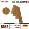 san-nhua-blue-angel-B666